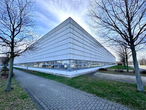 Dresden Halle, Dresden Hallenfläche