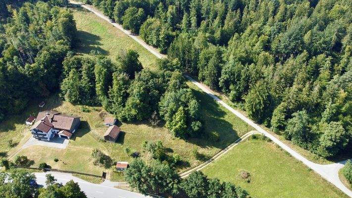 Luftbild- Hof und Weide