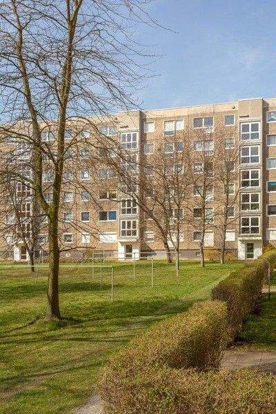 Dresden Wohnungen, Dresden Wohnung mieten