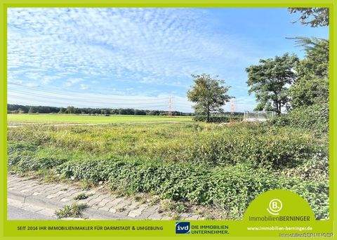 Erzhausen Grundstücke, Erzhausen Grundstück kaufen