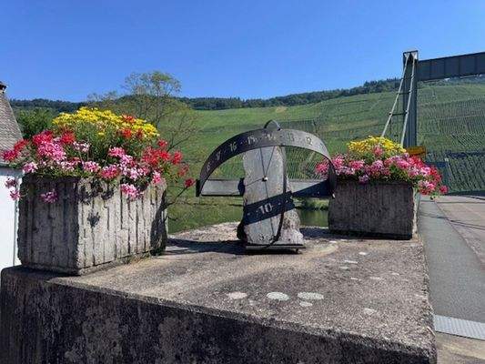 Impressionen4_Wehlen, Moselansicht