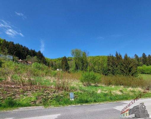 20220505_110204_resized_1