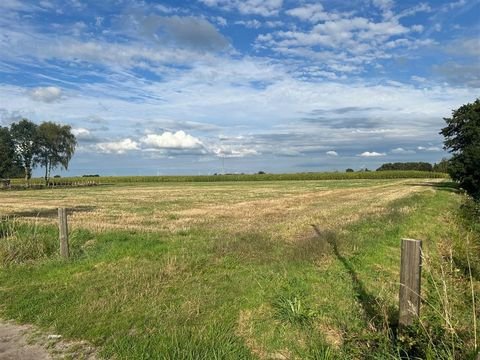 Nenndorf , Ostfriesl Bauernhöfe, Landwirtschaft, Nenndorf , Ostfriesl Forstwirtschaft