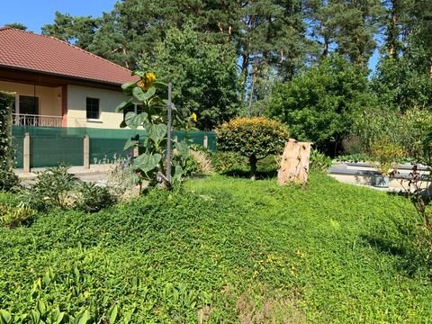 Heideblick / Walddrehna Häuser, Heideblick / Walddrehna Haus kaufen