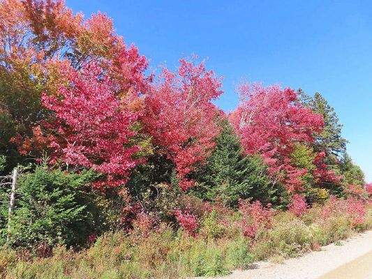 Nova Scotia - West Side Country Harbour - 52-Hekta