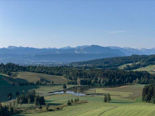 Allgäuer Sommertraum