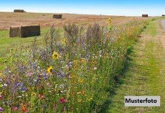 Keine Originalbilder