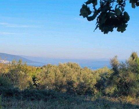 Marcana Grundstücke, Marcana Grundstück kaufen