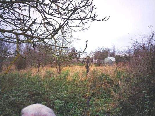 Blick über das Grundstück Bild 2