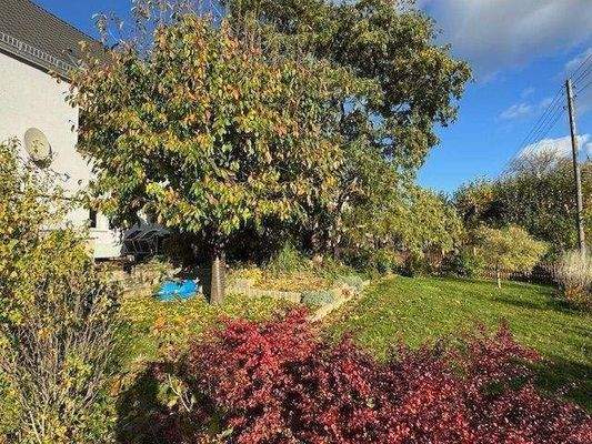 Garten mit viele Grün &quot;Goldener Herbst&quot;