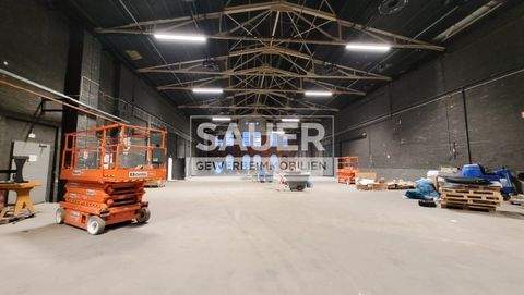 Berlin Halle, Berlin Hallenfläche