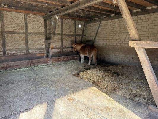 Stall inn Pferde.jpg