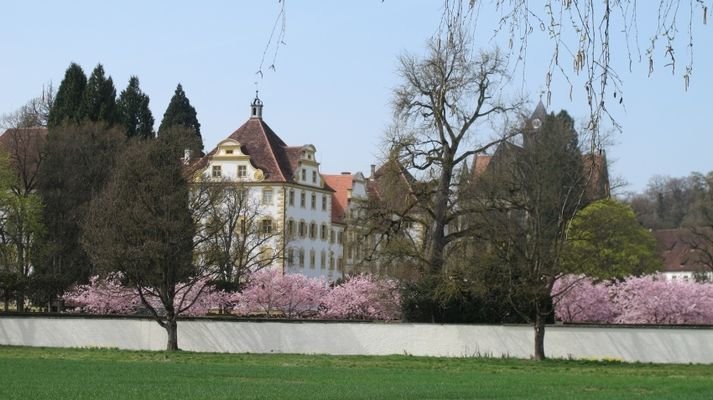 Nahe beim Schloss für Kultur und Genuss