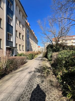 IMG_3336.jpeg