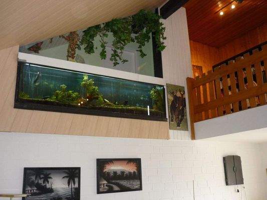 2022-10-05 15.28.02.jpg