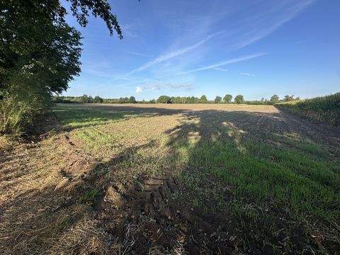 Borken / Burlo Bauernhöfe, Landwirtschaft, Borken / Burlo Forstwirtschaft