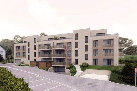 Pluwig Wohnungen, Pluwig Wohnung kaufen