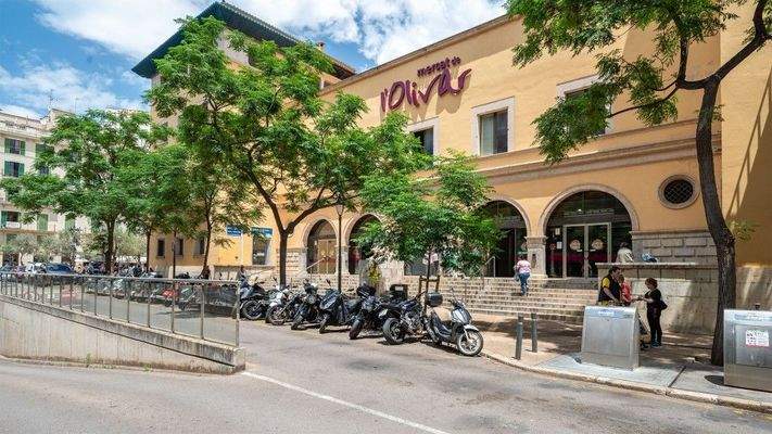 Palma Local Plaza d_Olivar 1 92388