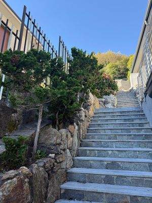 Treppen mit schönen Pflanzen.jpg