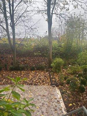 WhatsApp Image 2025-11-20 at 23.11.09 (6)