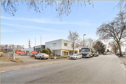 Duisburg / Bergheim Halle, Duisburg / Bergheim Hallenfläche