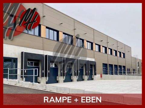 Babenhausen Halle, Babenhausen Hallenfläche