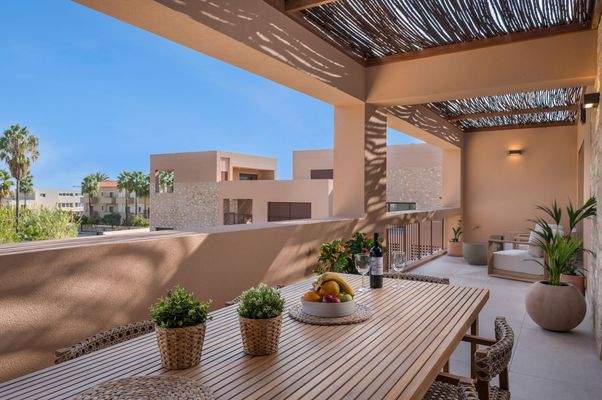 Olive Courtyard Collection