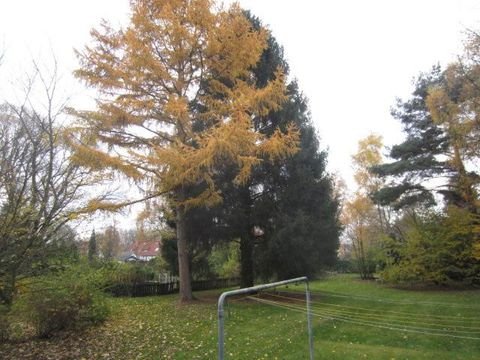 Bottrop Wohnungen, Bottrop Wohnung mieten
