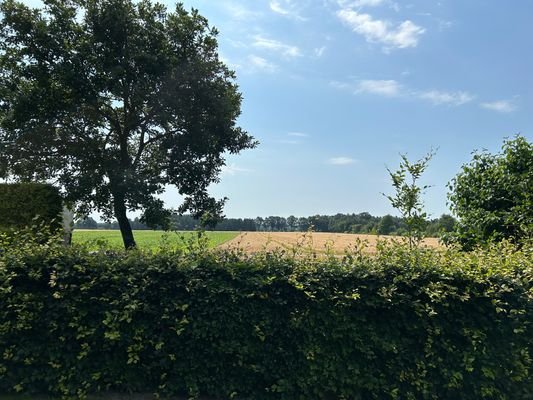 Weitblick in die Felder 