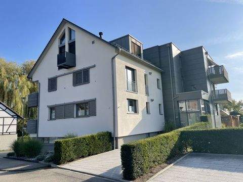 Radolfzell am Bodensee Wohnungen, Radolfzell am Bodensee Wohnung mieten