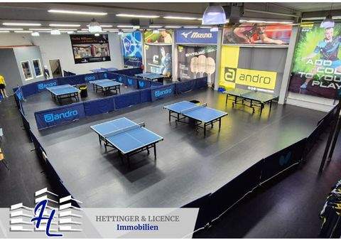 Adelsdorf Halle, Adelsdorf Hallenfläche