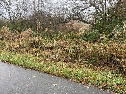 Ansicht von der Straße