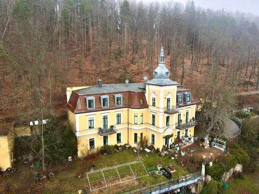 Drohne, Vorderansicht