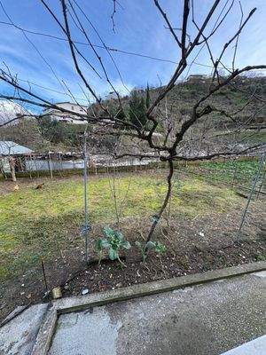 WhatsApp Image 2025-12-29 at 13.02.24.jpeg