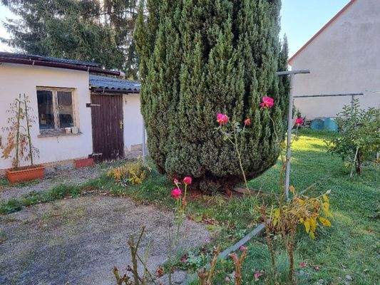 Grundstücksteil hinter dem Wohnhaus