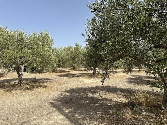 Kreta, Asteri: Grundstück mit Meerblick zu verkaufen