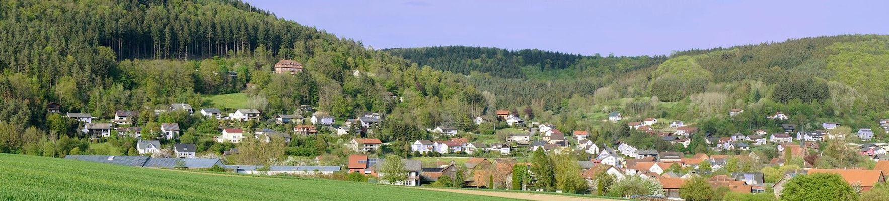 Panorama Hettigenbeuern