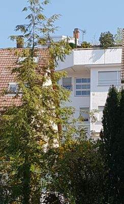 Wohn-Geschäftshaus-Westseite 100m Entfernt (1).jpg