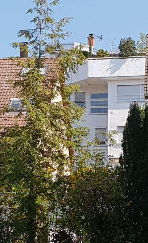 Heilbronn Häuser, Heilbronn Haus kaufen