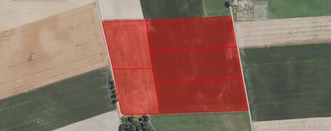 Schondorf am Ammersee Bauernhöfe, Landwirtschaft, Schondorf am Ammersee Forstwirtschaft