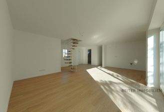 großes Wohn-und Esszimmer mit offener Küche