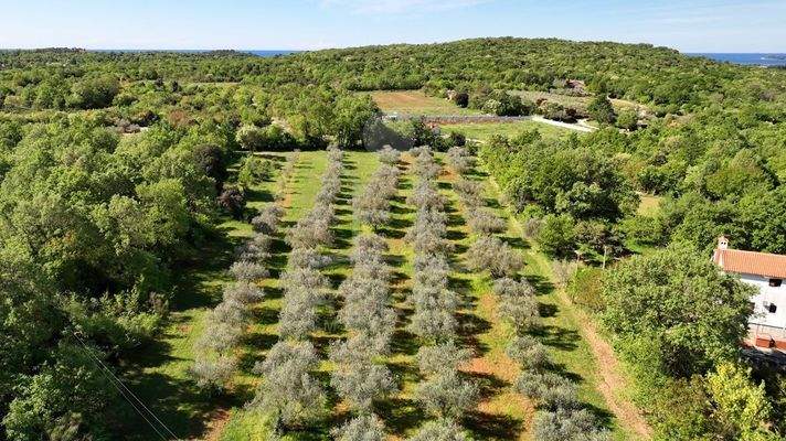 Traumhaftes Landwirtschaftsgrundstück in der Nähe von Rovinj