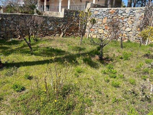 WhatsApp Image 2023-01-02 at 14.19.14 (24).jpeg