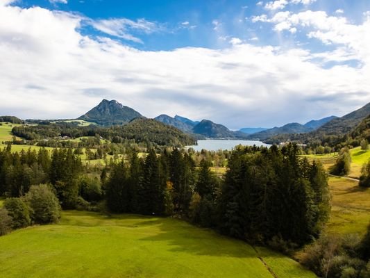 Grünlandlage Nähe Fuschlsee