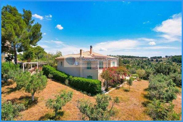 5655f55f04fc4090a46c469563f6f7ef-original