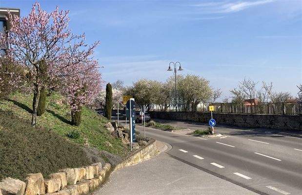 Atmosphärischer Weinort Herxheim