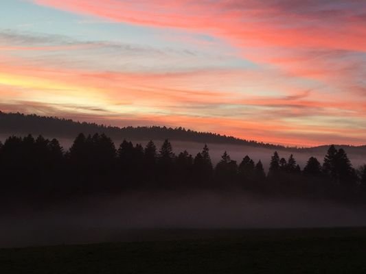 Umgebung