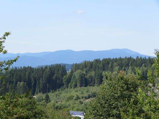 Blick vom oberen Grundstücksrand   