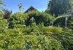 Gartenblick
