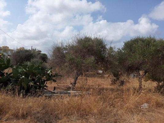 Ein wirklich erstaunliches Grundstück am Meer in Stavros, Chania